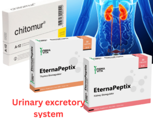 Urinary excretory system Peptide Bundle – A-6 Vladonix A-12 Chitomur A-9 Pielotax